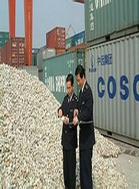 Inspection Service